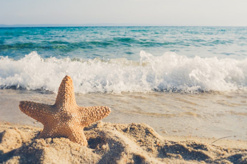 Estrella de mar enterrada en la arena, para poema "Aprehendida"